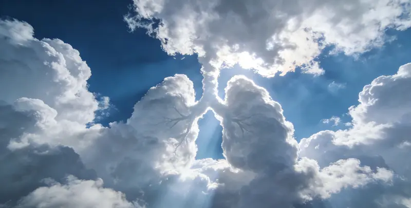 承德肺癌11基因检测组织版图片1