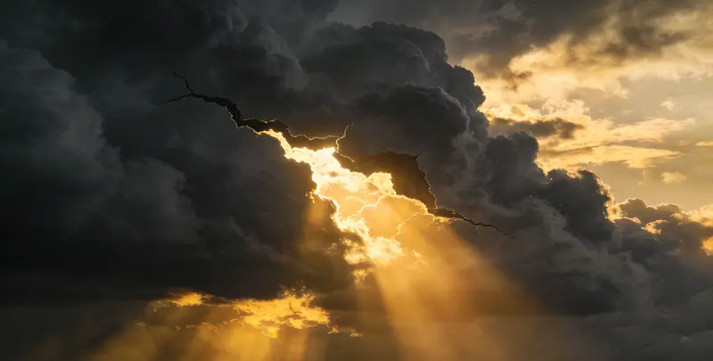 承德肺癌靶向120基因检测（组织）图片1