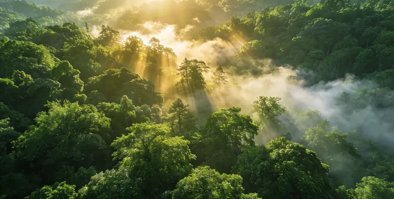 承德肺癌119基因检测图片1