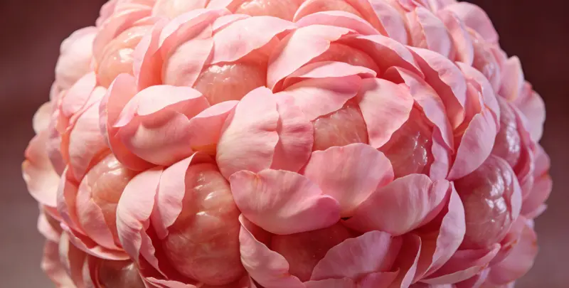 承德BRCA1/2乳腺癌卵巢癌基因检测图片1